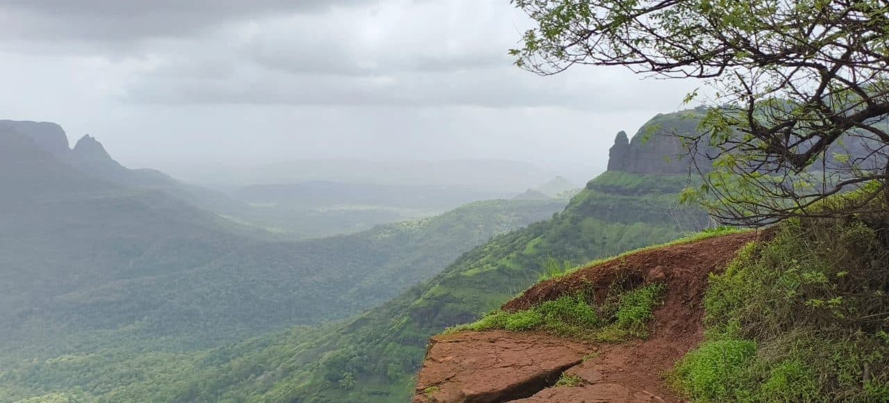 A steep green valley falling away into thick mist, seen over a laterite ledge.